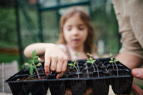 Fater and girl working together in garden, planting seedlings, spending time togeter, have shared hobby. Fatherhood and Father's Day concept. photo