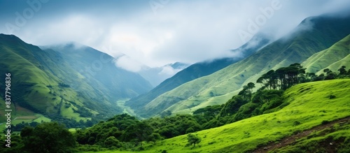 Misty Green Valley with Lush Mountain Landscape