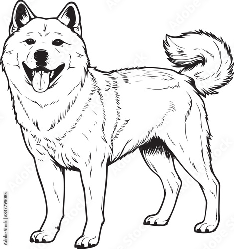 Akita dog clipart, Akita black vector