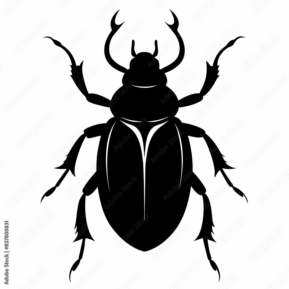 beetle isolated on white