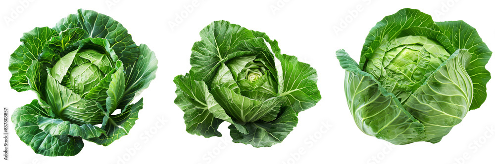 Fototapeta premium Set of Fresh green cabbage on transparent background