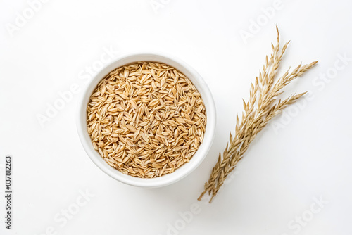 Oat groats and stalk isolated on white background photo