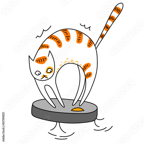 Cat on robot vacuum cleaner