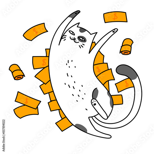 Cat lies on the banknotes