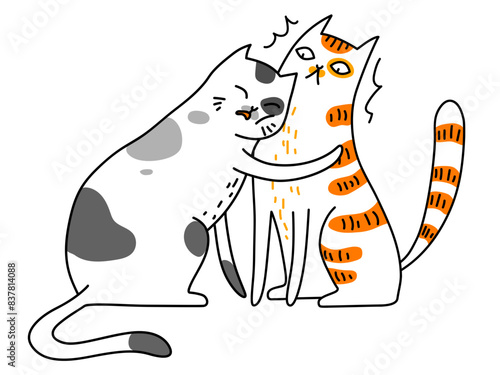 Cat Support