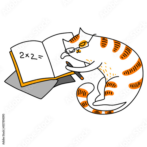 Cat sleeping on book