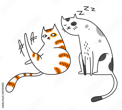 Cat sleeps on the move