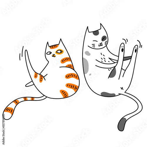 Sportive cats