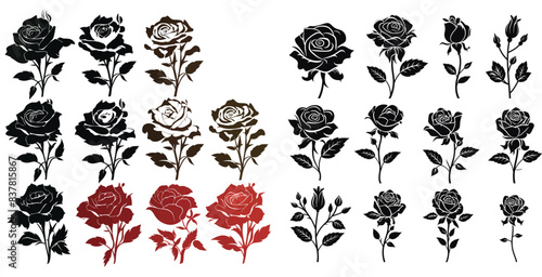 Set of rose flowers vector illustration silhouette image icon design, vector design