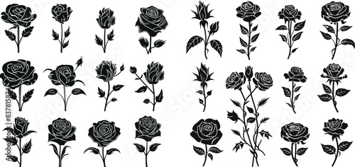 Set of rose flowers vector illustration silhouette image icon design, vector design