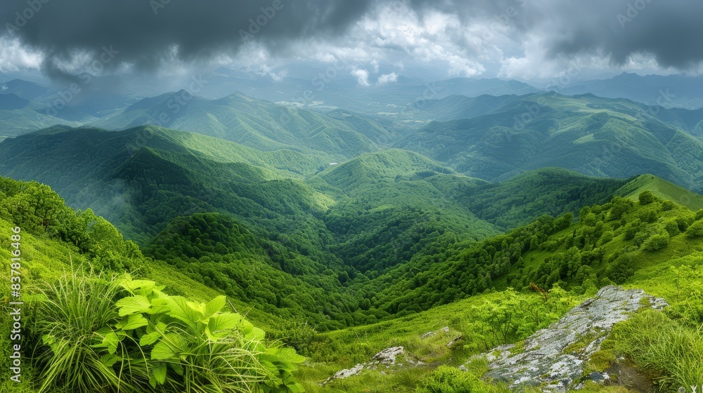 A lush green valley with mountains in the distance and dark clouds overhead is depicted from a rocky outcropping A lush green valley with mountains in the distance and dark clouds overhead is depicted from a rocky outcropping