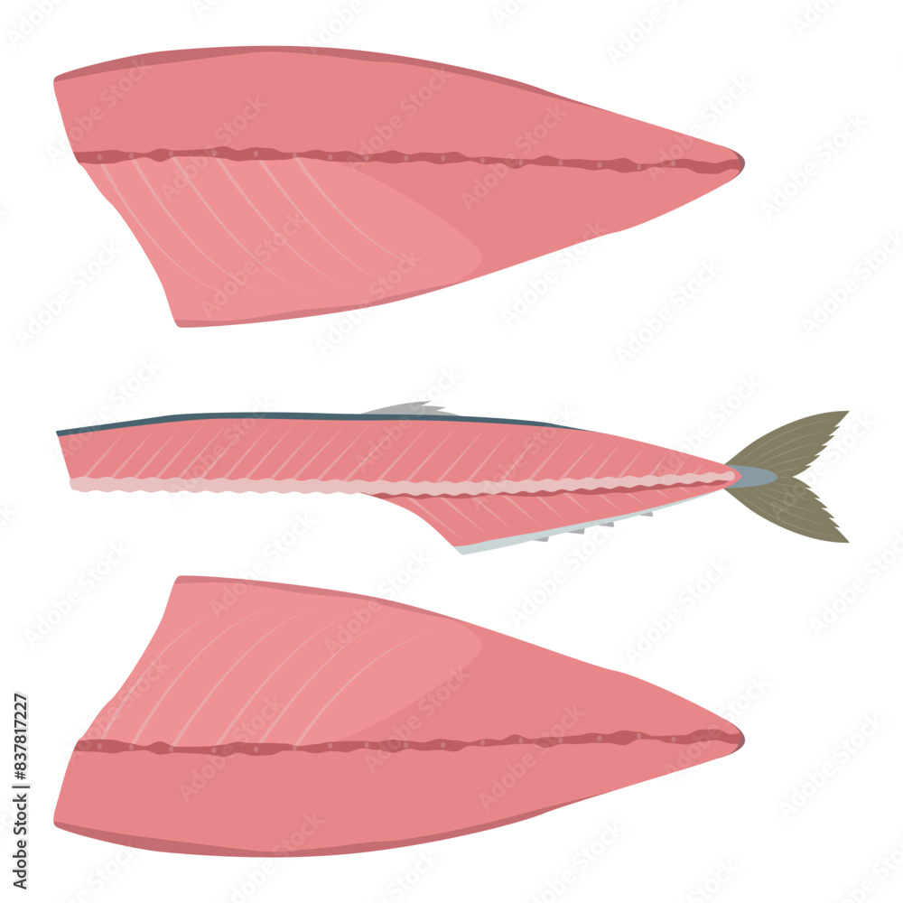 Fototapeta premium 鯖の三枚おろしのイラスト