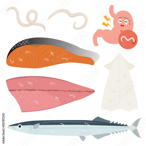 アニサキスのイラスト