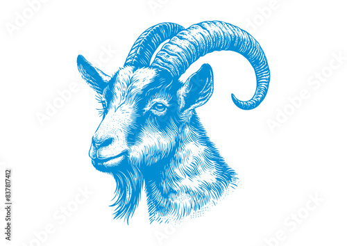 goat vector, transparent background.