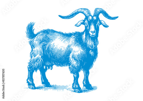 goat vector, transparent background.