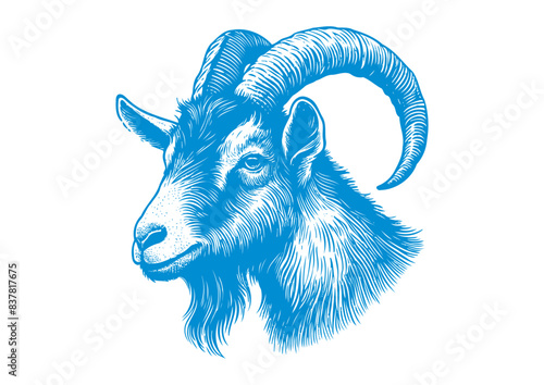 goat vector, transparent background.