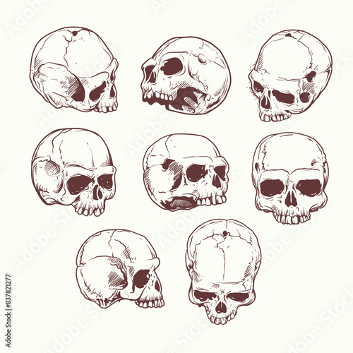 Art & Illustration skulls hand drawn vector