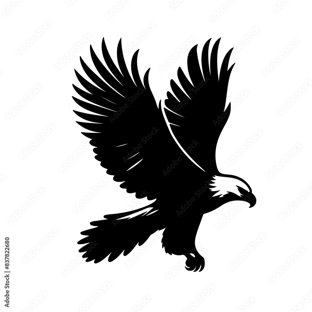 Obraz premium Fish Eagle Shallotte, vector , ilustrtation 