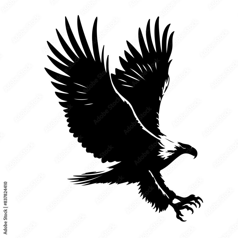 Obraz premium Fish Eagle Shallotte, vector , ilustrtation 