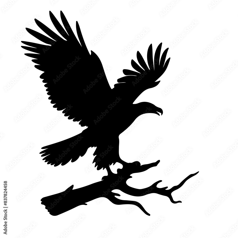 Obraz premium Fish Eagle Shallotte, vector , ilustrtation 