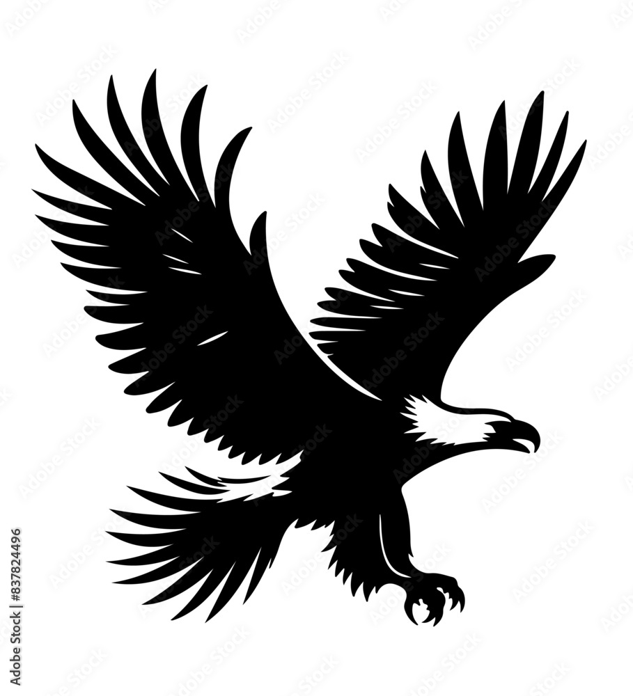 Obraz premium Fish Eagle Shallotte, vector , ilustrtation 