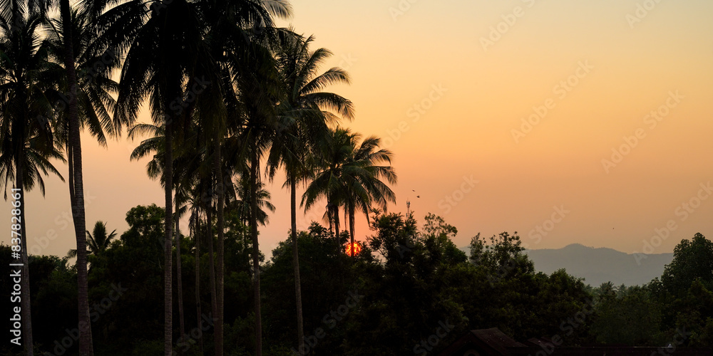 Obraz premium palm trees at sunset