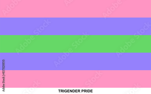 Flag of TRIGENDER PRIDE, TRIGENDER PRIDE flag