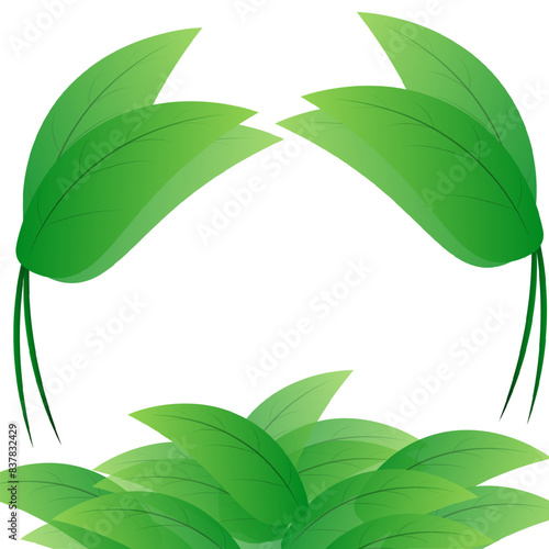 leaf green natural vector