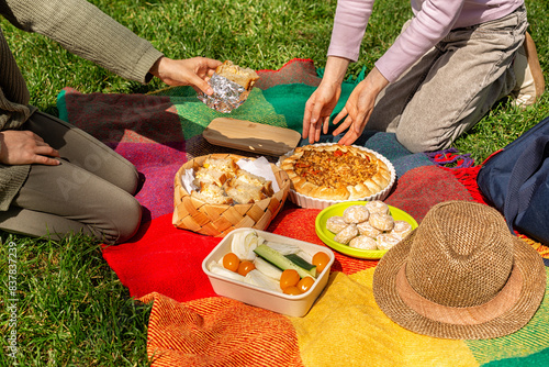 Picnic time, girls eating food on a colorful blanket, cooler bag on grass at summer park. Sandwiches with egg and tuna, pie with rice and meat, vegetables and cookies.
