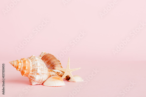 Summer time concept with sea shells or starfish on a table background with copy space for text