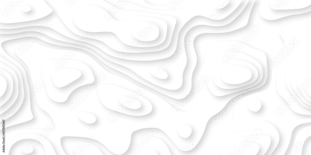 Obraz premium Abstract white paper cut background with lines. Background of the topographic map. White wave paper curved reliefs abstract background. Realistic papercut decoration textured with wavy layers.