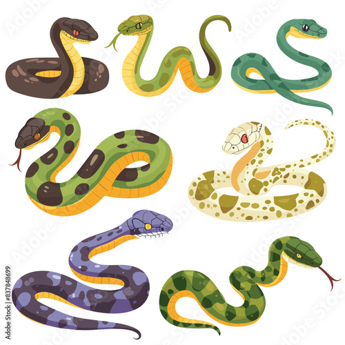 Collection cartoon snakes, various species colors illustrated. Cartoon serpents green, yellow, purple, brown patterns, cute style. Serpentine reptiles, isolated white background, wildlife theme