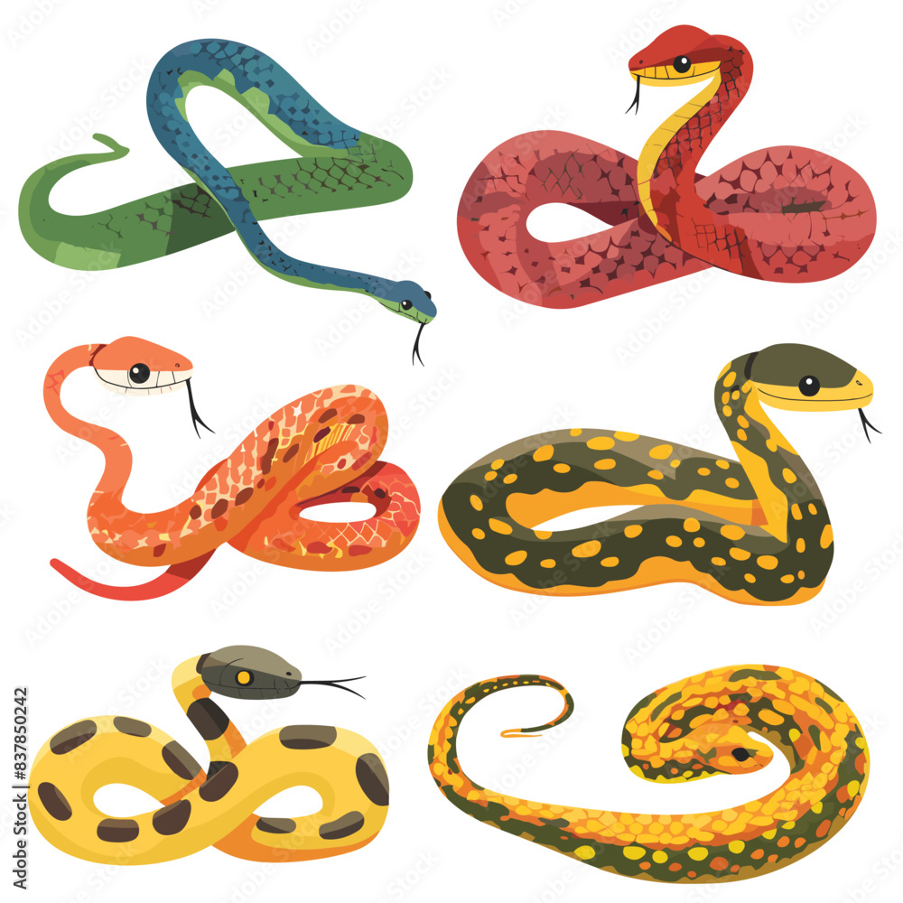 Obraz premium Colorful cartoon snakes, different patterns textures, variety species illustrated, captured individually, mixture colors, textures, cartoonish. Collection snakes showing diversity