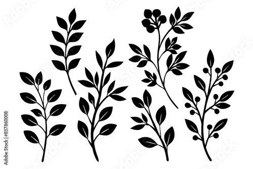 floral branch silhouette vector illustration