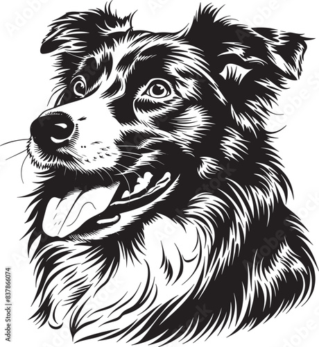 Australian Shepherd dog clipart, Australian Shepherd black vector