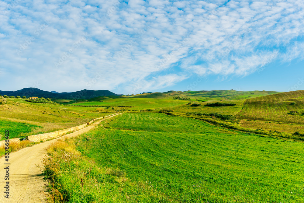 young spring field on hills of green rustic farmland with grass plants and garden. Countryside green spring or summer season landscape of farm with beautiful blue cloudy sky on background young spring field on hills of green rustic farmland with grass plants and garden. Countryside green spring or summer season landscape of farm with beautiful blue cloudy sky on background
