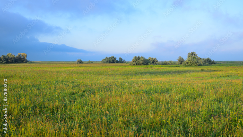 Fototapeta premium Lake Neusiedl Seewinkel National Park on a sunny morning