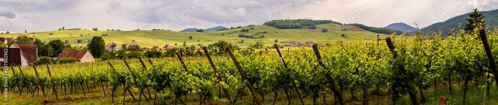 Le Mont de Sigolsheim vu depuis le vignoble de Beblenheim, CeA, Alsace, Grand Est, France Le Mont de Sigolsheim vu depuis le vignoble de Beblenheim, CeA, Alsace, Grand Est, France