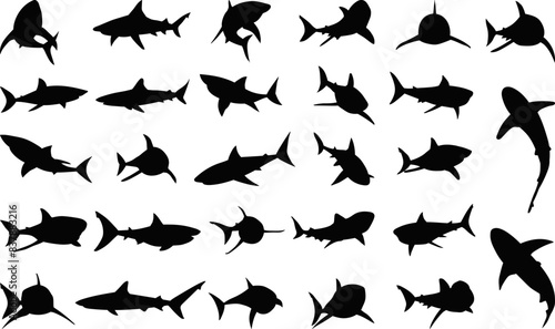 set of sharks in different poses silhouette, vector