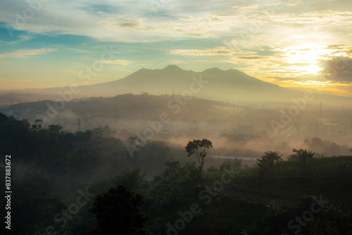 a beautiful view of nature in the morning. 