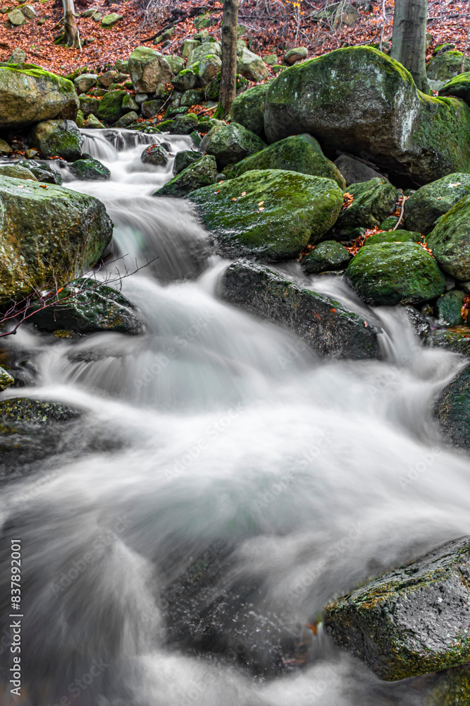 Fototapeta premium fresh forest creek on autumn in Jizera mountains