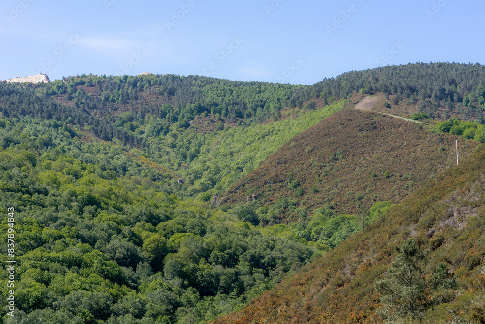 Fototapeta premium Landscape with morning fog, plains and mountains