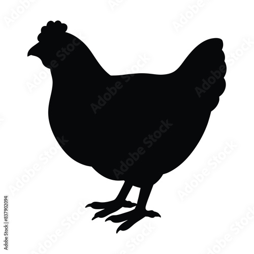 silhouette of chicken on white