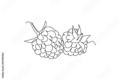 Single continuous line drawing whole healthy organic raspberry for orchard logo identity. Fresh berry fruitage concept for fruit garden icon. Dynamic one line draw graphic design vector illustration