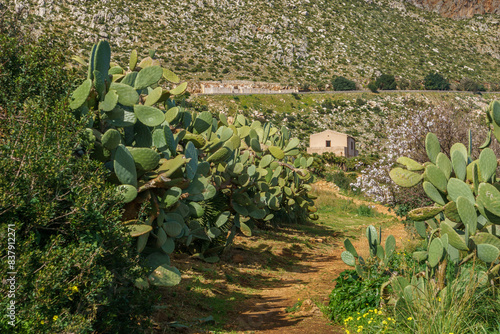 Mountain landscape with hiking path at the Zingaro Nature Reserve at the mediterranean sea, San Vito Lo Capo, Sicily, Italy