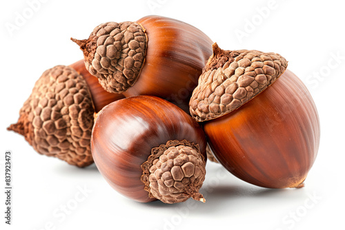 Close-up of shelled and unshelled Acorn nuts isolated on a white background, showcasing their texture