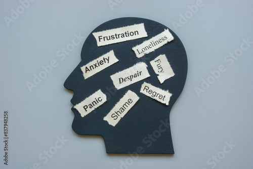 Obraz na plátně Model of head and words anxiety frustration, panic and despair as negative emotions