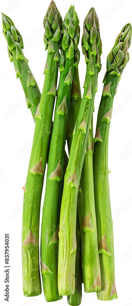 Obraz premium asparagus sticker transparent background PNG clipart