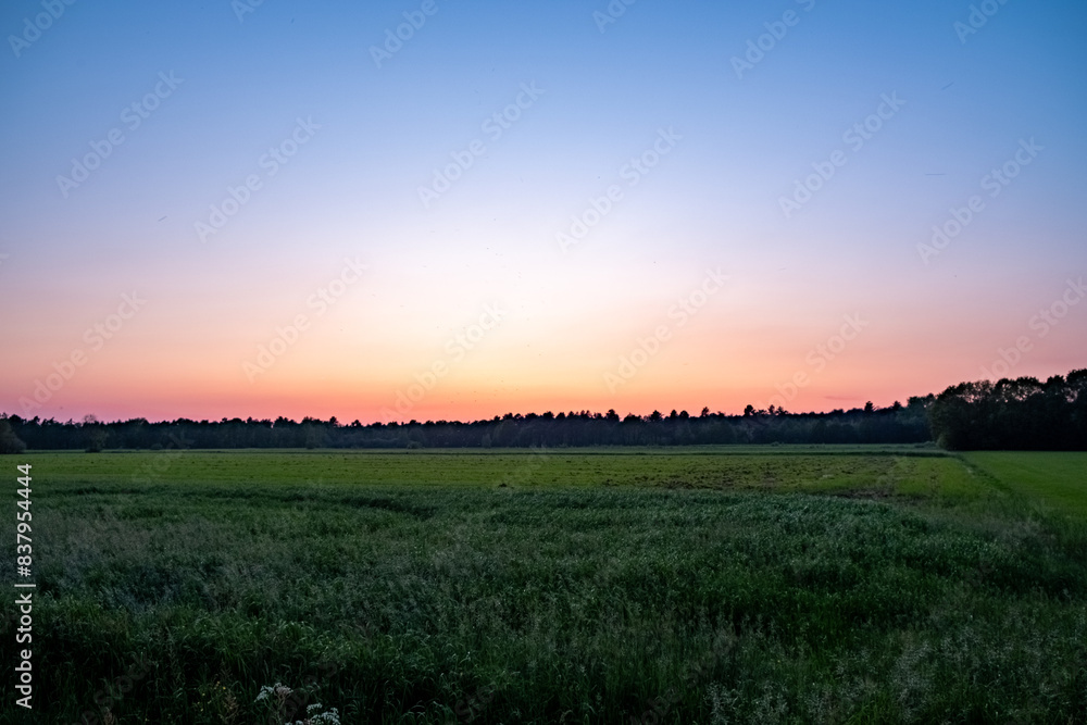 A stunning view of a colorful sunset above a lush green field, ideal for capturing the essence of nature and landscapes