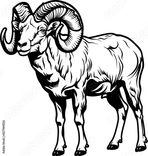 Fotografie Bighorn sheep silhouette icon in black color